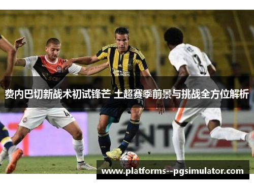 费内巴切新战术初试锋芒 土超赛季前景与挑战全方位解析