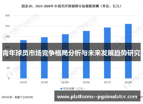 青年球员市场竞争格局分析与未来发展趋势研究